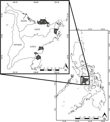 Potential for Return on Investment in Rehabilitation-Oriented Blue Carbon Projects: Accounting Methodologies and Project Strategies